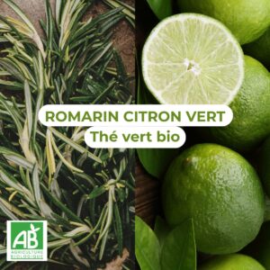 ROMARIN CITRON VERT – Thé vert bio
